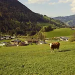 Beim Rohrer *