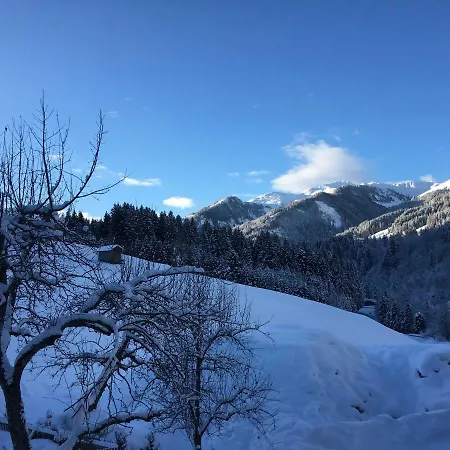 Beim Rohrer Daire Kirchberg in Tirol