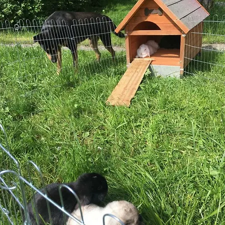 Beim Rohrer Kirchberg in Tirol