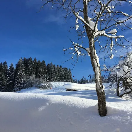 Beim Rohrer Kirchberg in Tirol