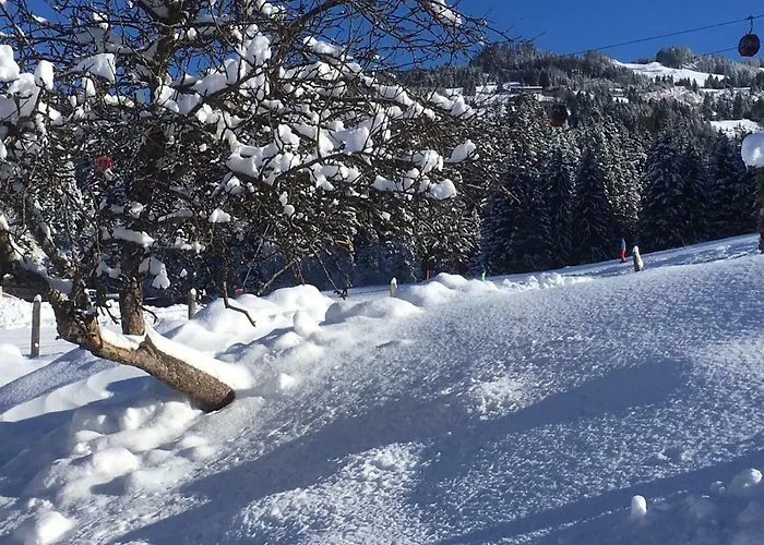 Apartman Beim Rohrer *