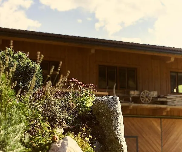 Beim Rohrer アパート キルヒベルク・イン・チロル