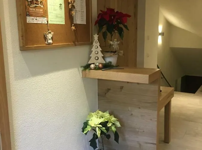 Beim Rohrer