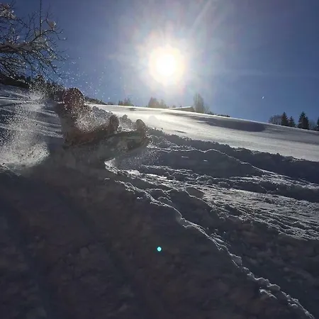 公寓 Beim Rohrer 蒂罗尔-基希贝格