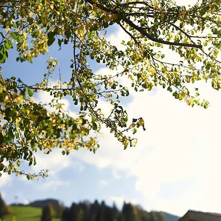 Beim Rohrer 蒂罗尔-基希贝格