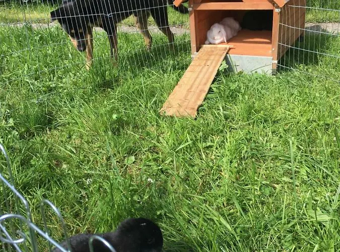 Beim Rohrer Кирхберг