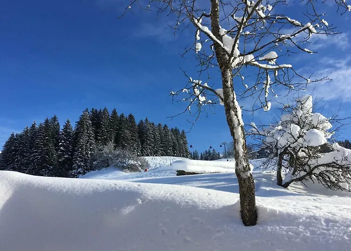 Beim Rohrer Кирхберг