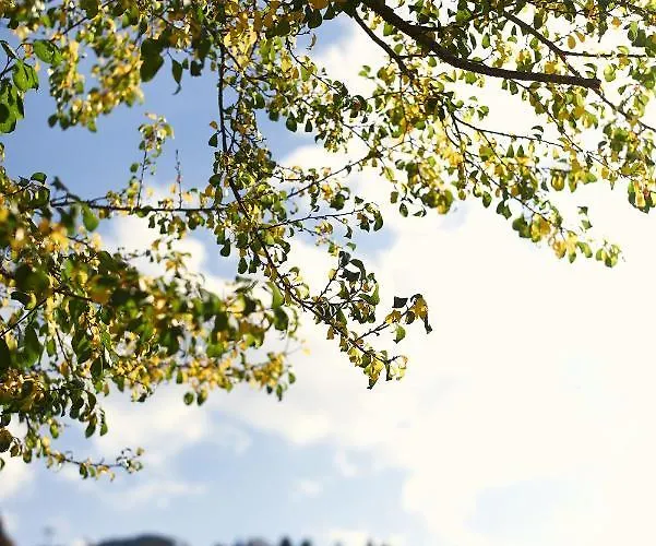 Beim Rohrer Кирхберг